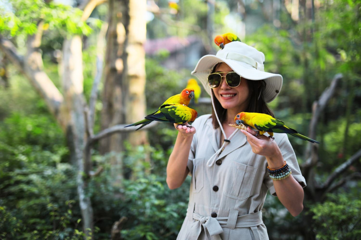 Questions you should know before deciding to buy a tour package or entrance tickets to tourist attractions in Thailand