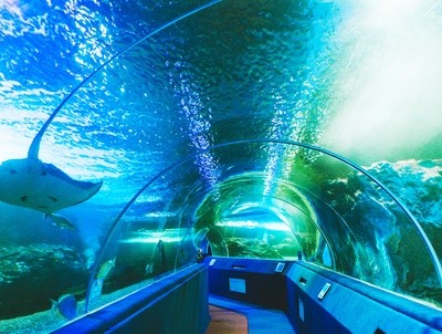 Zoo and Aquarium