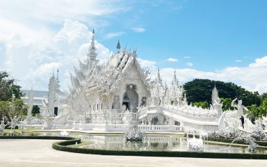 Tour of 4 landmarks in Chiang Rai Province (Wat Rong Khun, Doi Tung, Choui Fong Tea Plantation, Phahee)