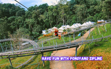 30% Off Book Pongyang Jungle Coaster & zipline tickets