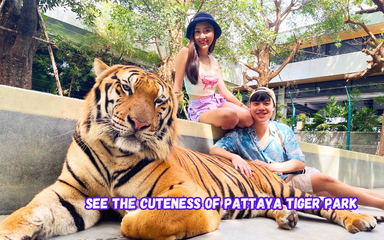 15% Off Book Tiger Park Pattaya tickets