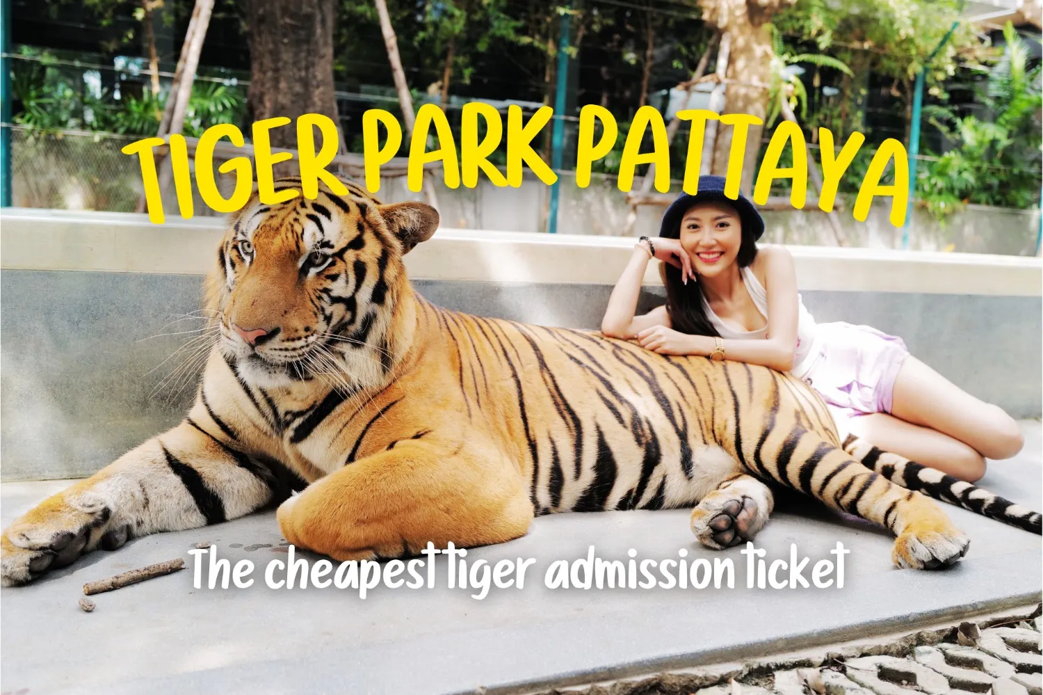 15% Off Book Tiger Park Pattaya tickets