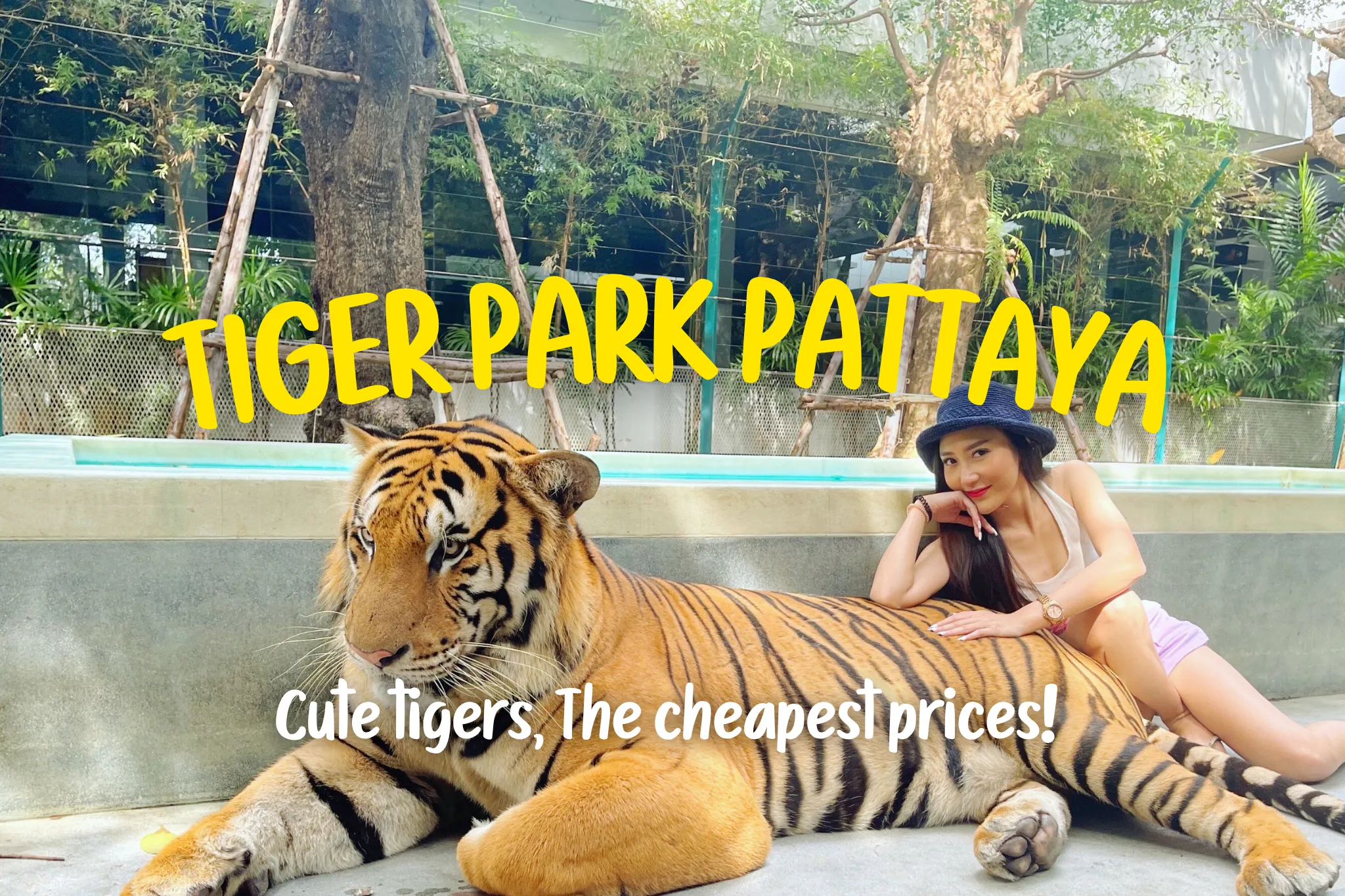 15% Off Book Tiger Park Pattaya tickets