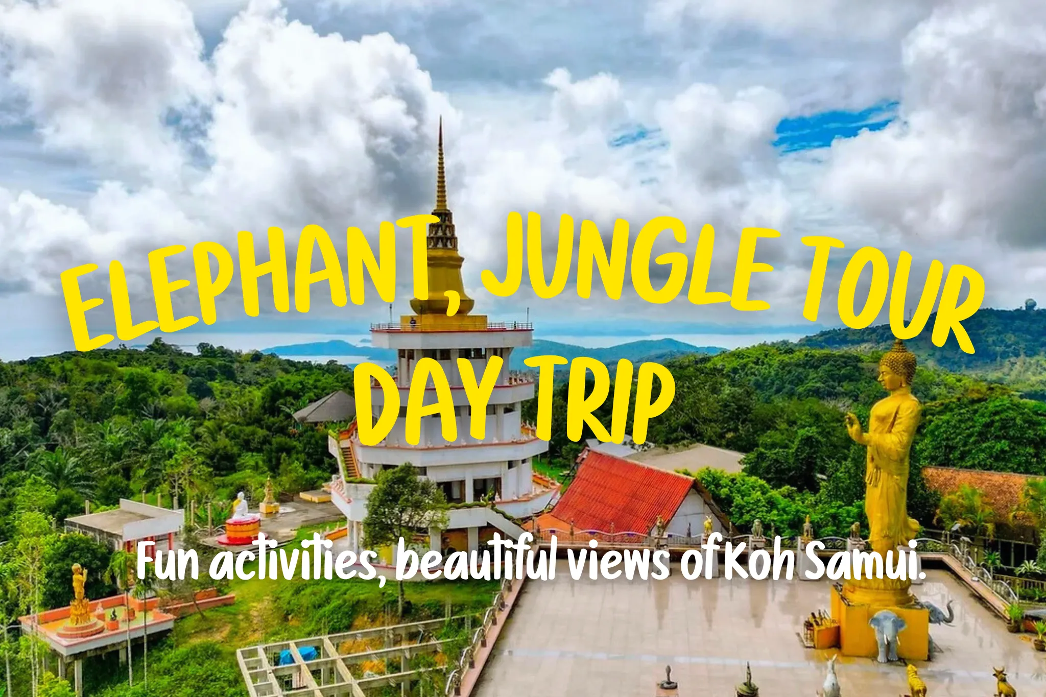 40% Off Book Elephant & Jungle Tour by 4×4 Truck (Join Tour)
