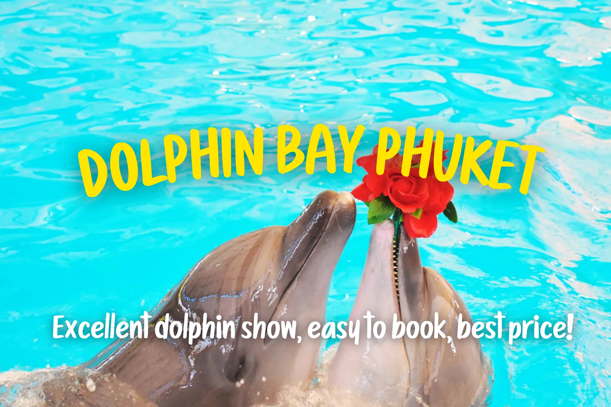 15% Off Book Dolphin Bay Phuket tickets