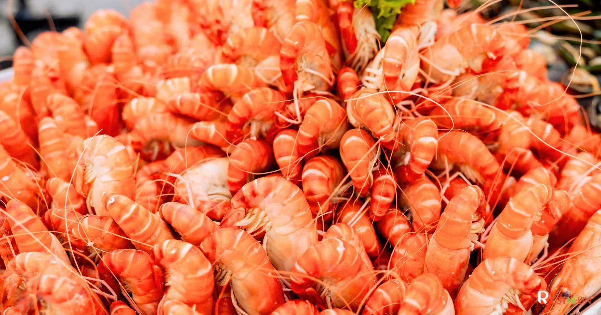 กุ้งแม่น้ำและเมนูซีฟู้ดของล่องเรือเจ้าพระยา Viva Alangka Cruise