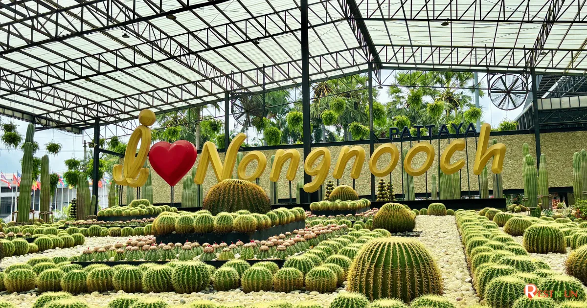 ต้นไม้ที่สวนนงนุชมีความสวยงามอุดมสมบูรณ์มากๆ
