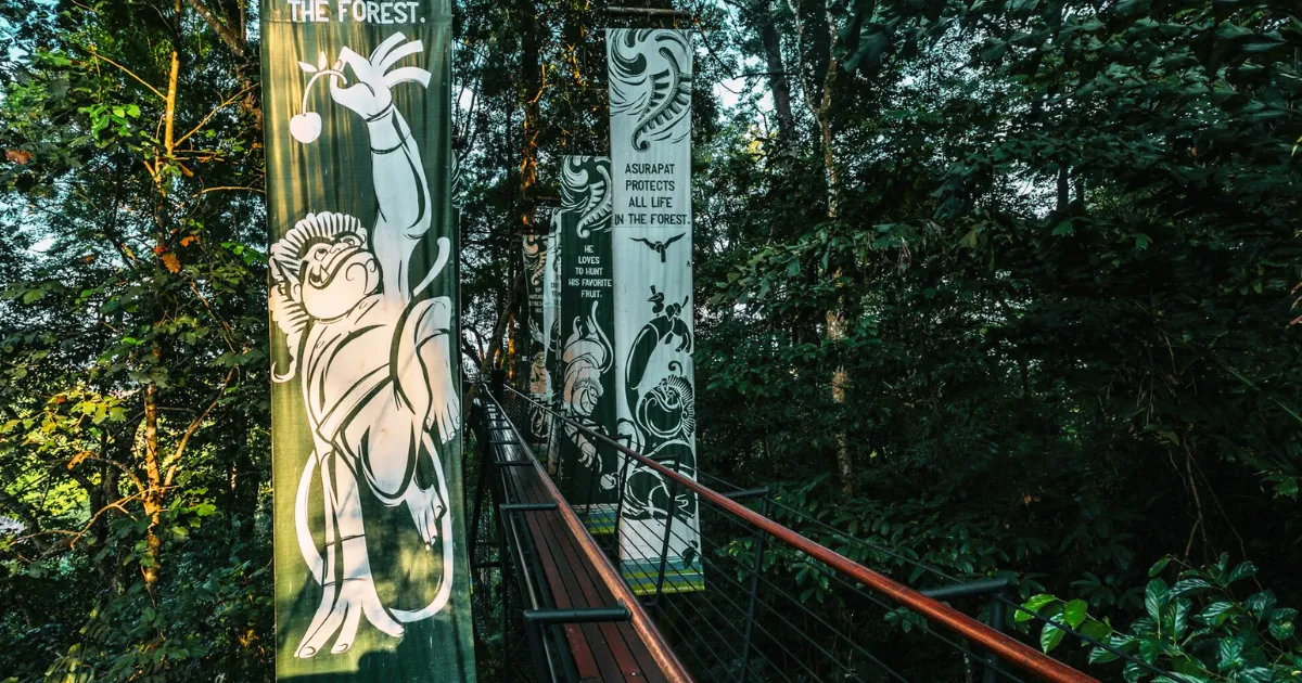 Take a walk through the lush forests of Phuket