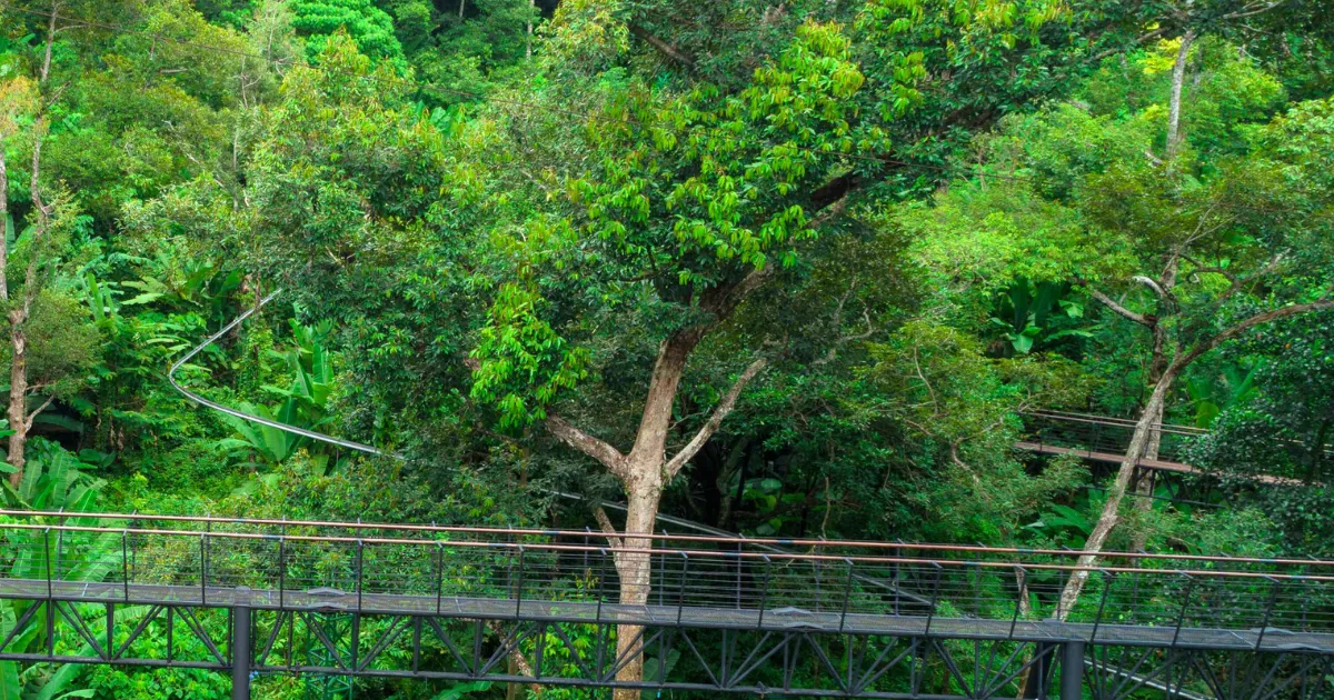 The skywalk at Hanuman World has a great atmosphere