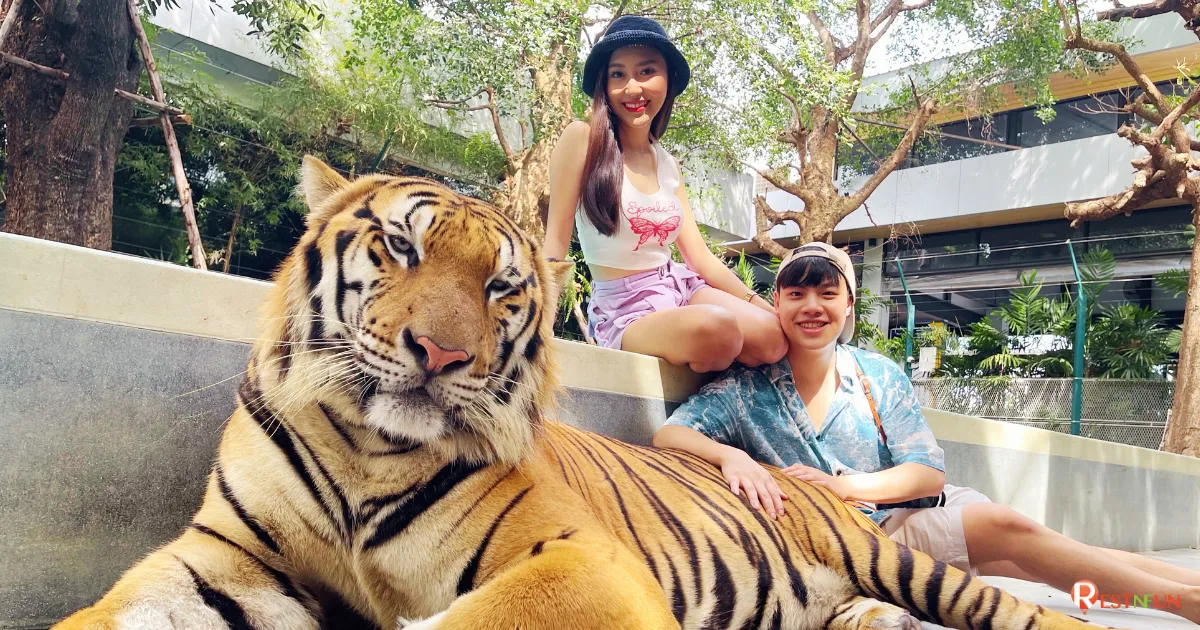แพ็กเกจเข้าชมสวนเสือพัทยา คุ้มสุดๆไปเลย จองที่ RestNFun