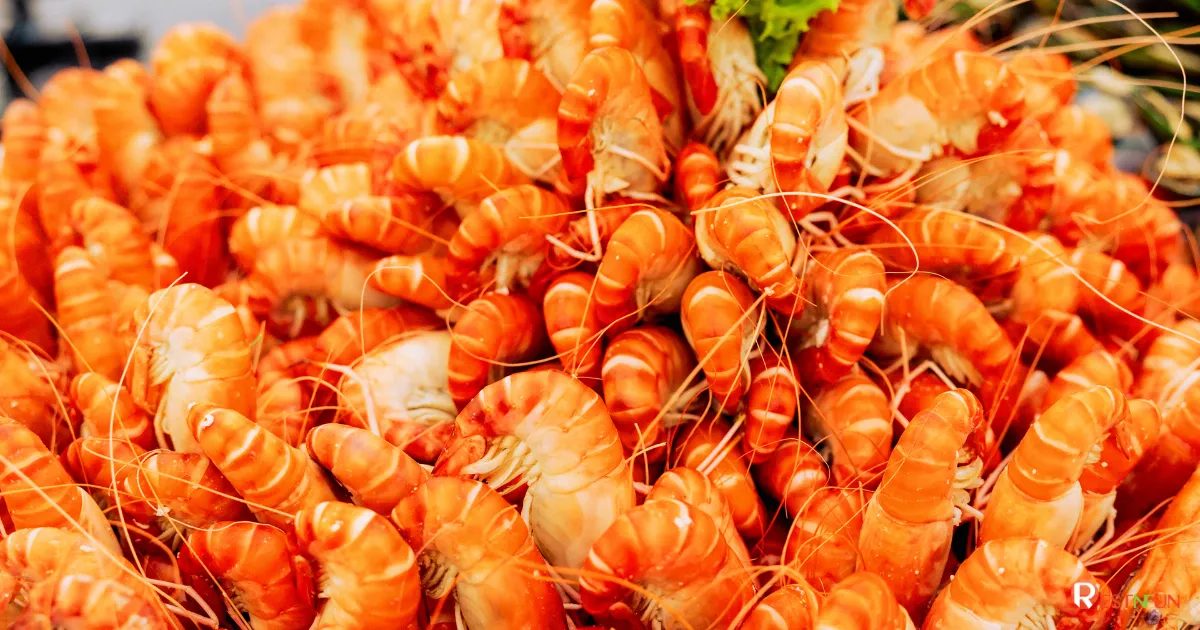 กุ้งบนเรือดินเนอร์วีว่า อลังกา ครูซ ตัวใหญ่มาก
