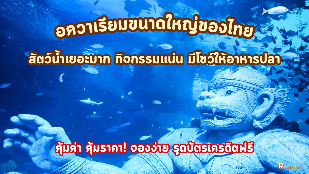 ค่าเข้าชมอควาเรีย ภูเก็ต ถูกที่สุดต้อง RestNFun