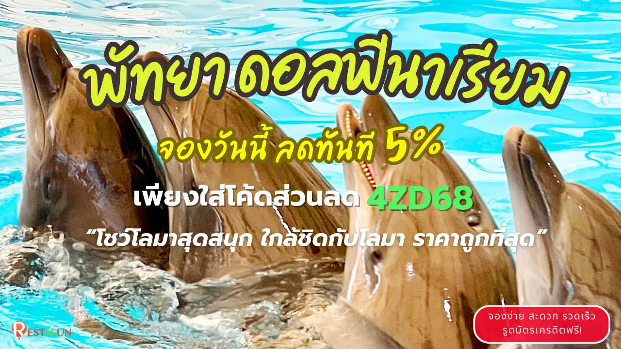 พัทยา-ดอลฟินาเรียม-โชว์โลมาสุดน่ารัก-ราคาถูกที่สุด