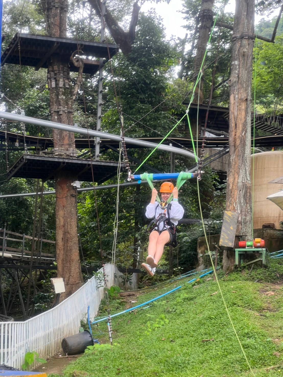 Pongyang Jungle Coaster Review