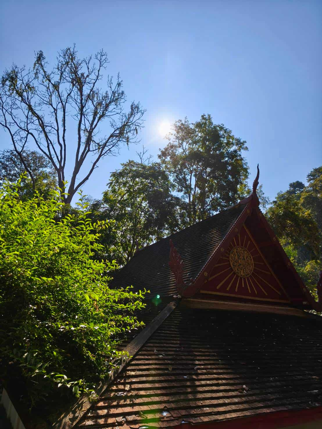 Tour package to worship at 9 temples in Chiang Mai Province Review