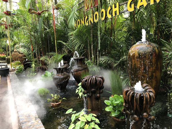 Review of Nong Nooch Garden Pattaya admission tickets