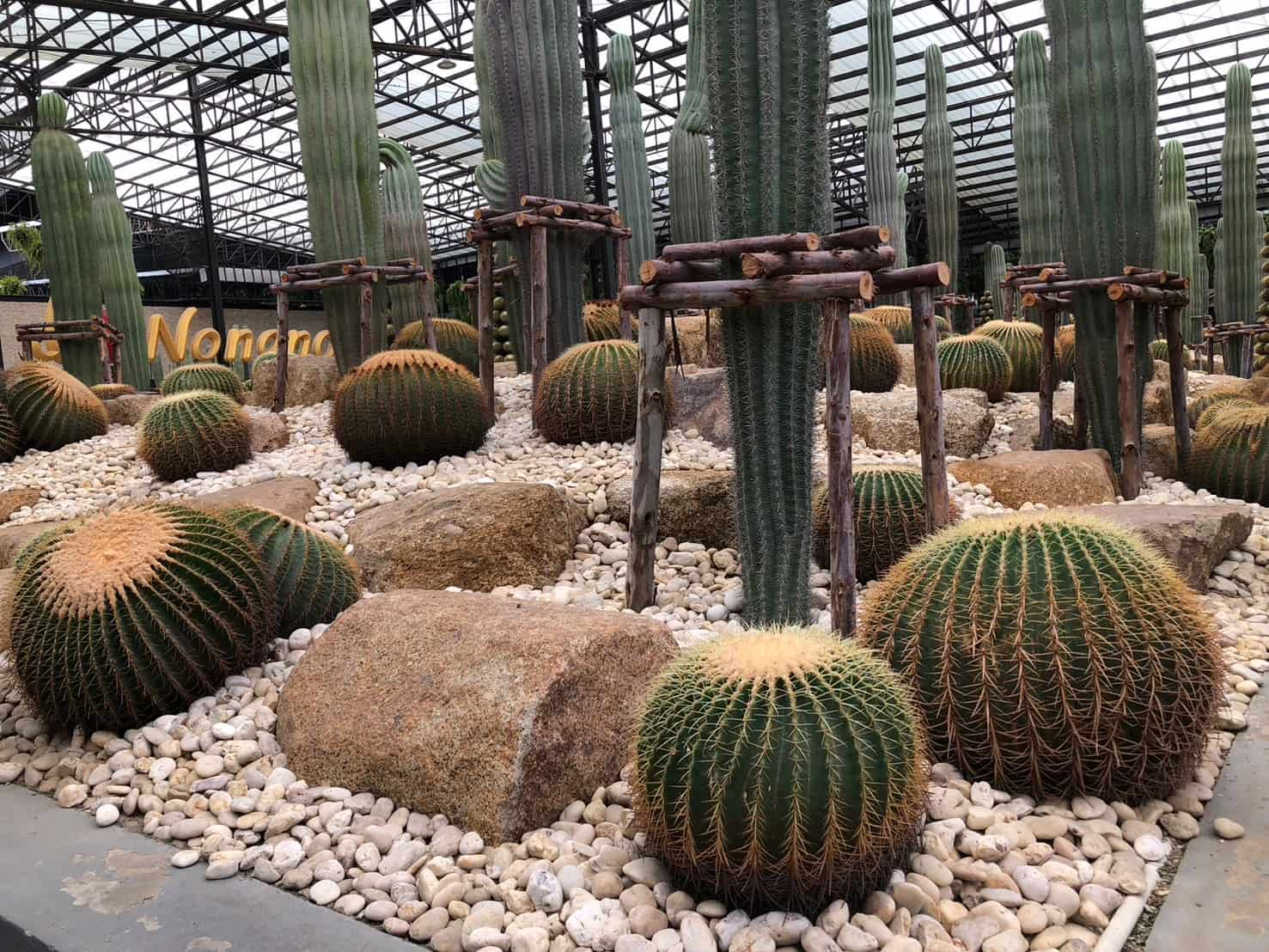 รีวิวความสวยงามของ Nong Nooch Tropical Garden