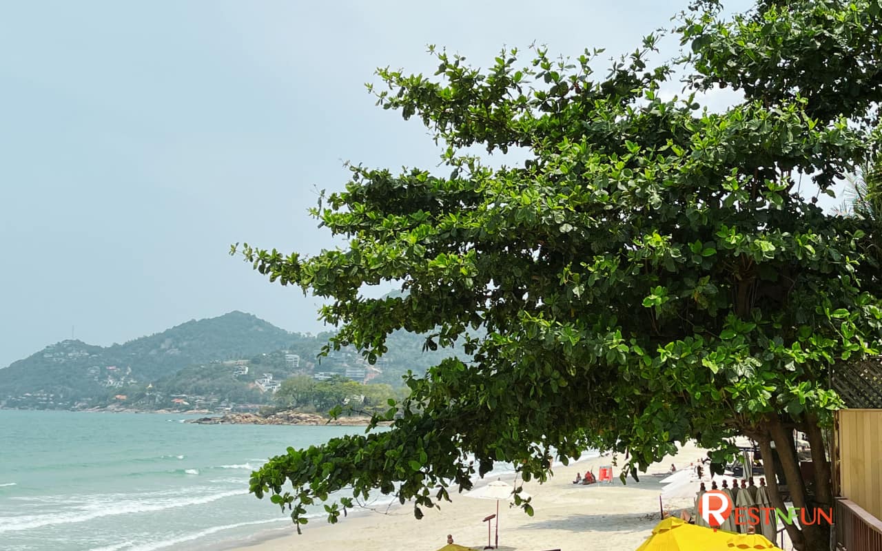 The atmosphere of Koh Samui is very beautiful