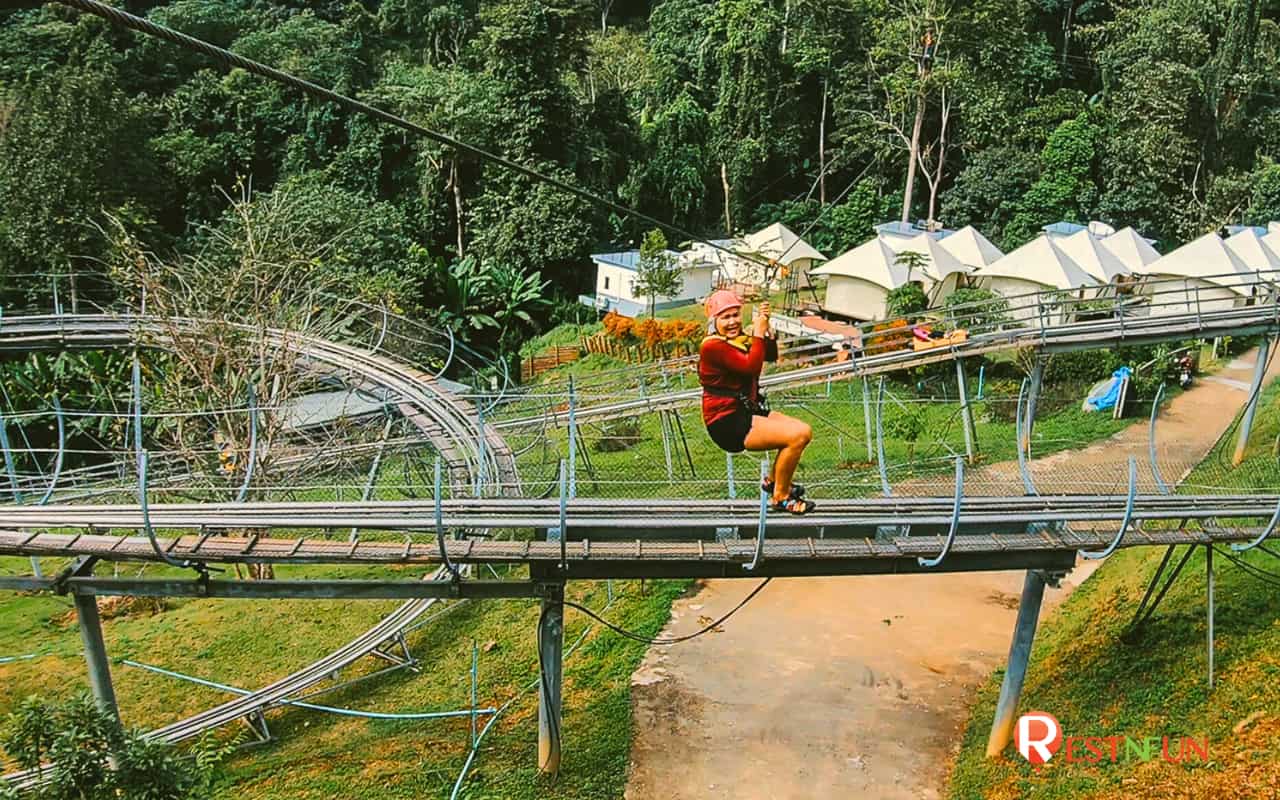 Highlights of activities at Zipline Chiang Mai Pongyang Zipline & Jungle Coaster