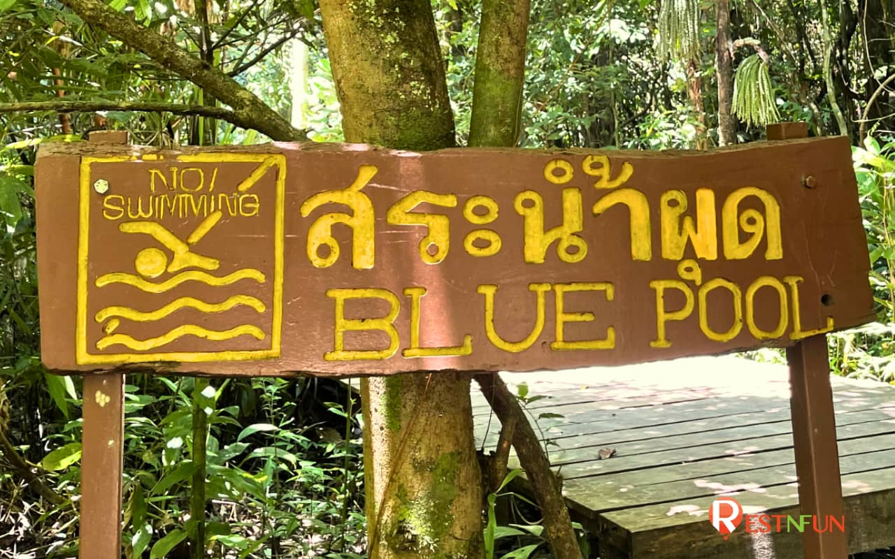 The Emerald Pool, Krabi has many check-in points for taking beautiful photos