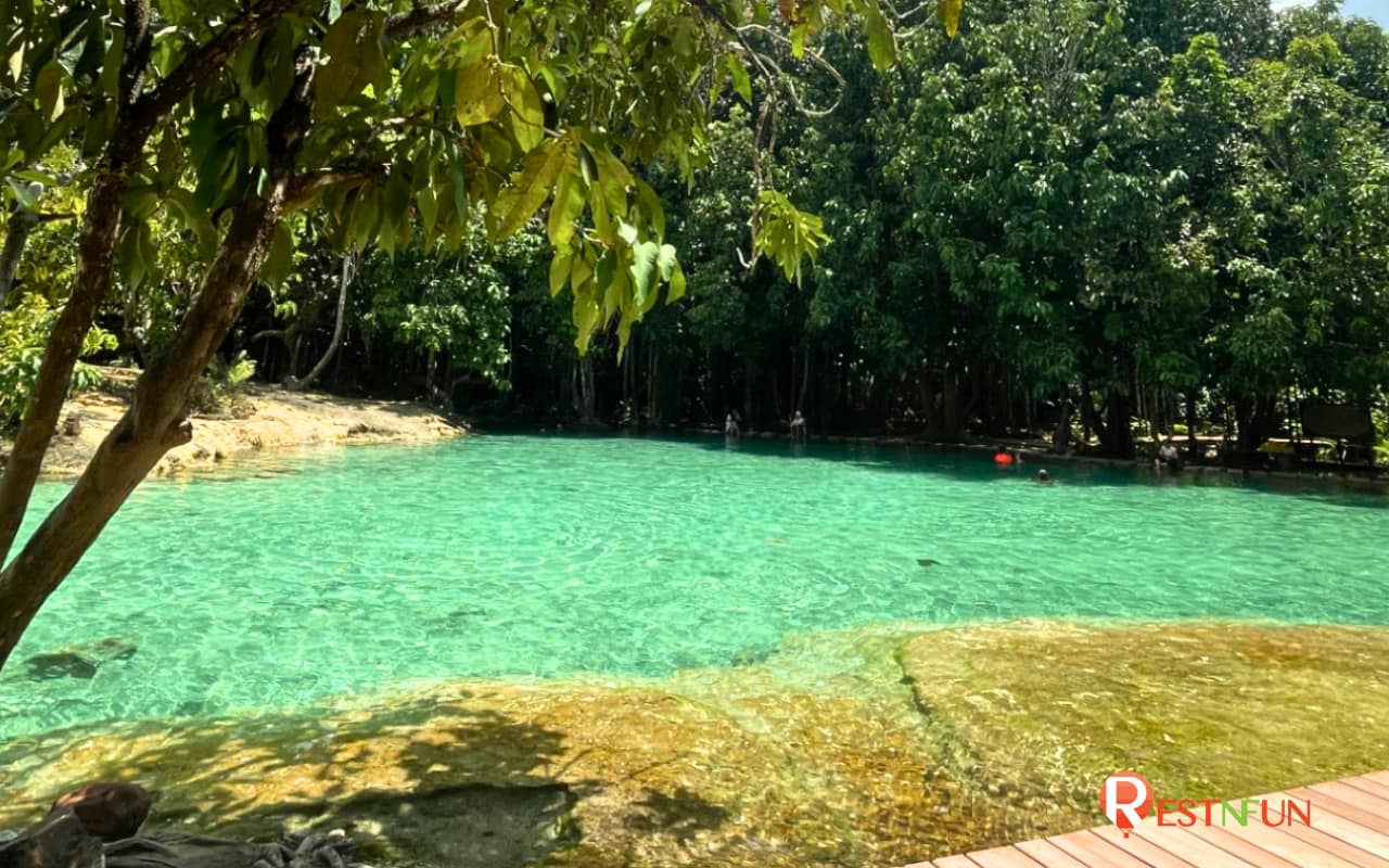 Review of water in the Emerald Pool Krabi Province is extremely clear