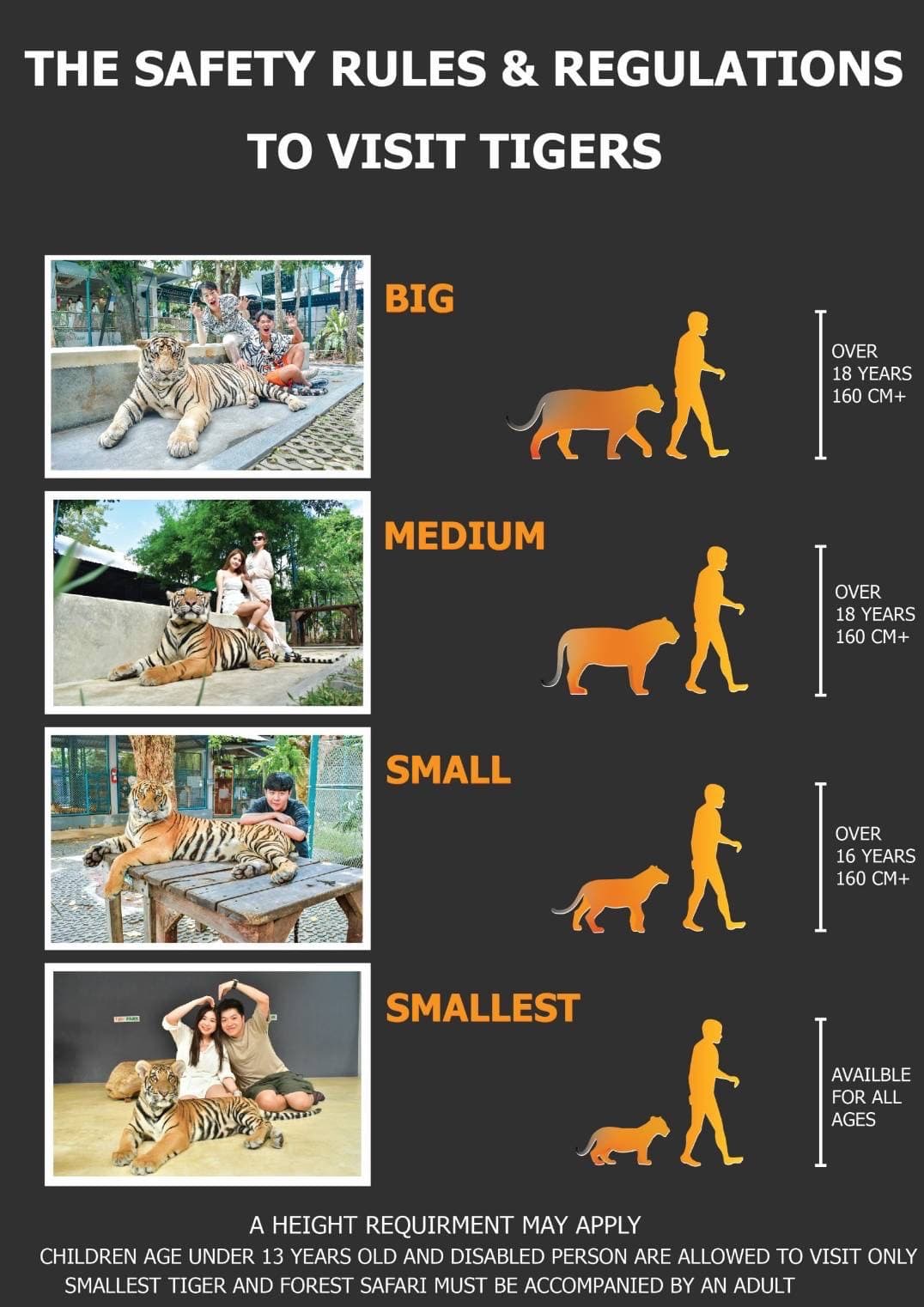 The height of tourists visiting each size of tiger